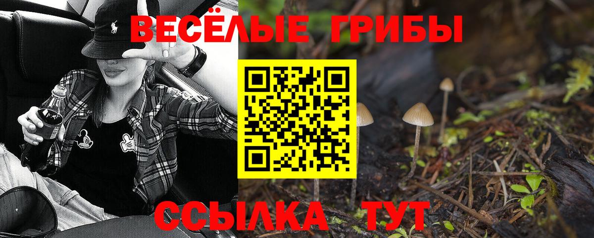 Галлюциногенные грибы Psilocybine cubensis  Вход с VPN  Галлюциногенные грибы Psilocybe  Россошь 